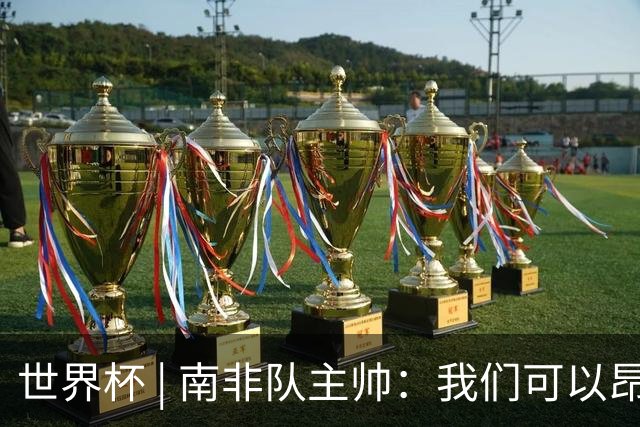 世界杯 | 南非队主帅：我们可以昂着头离开