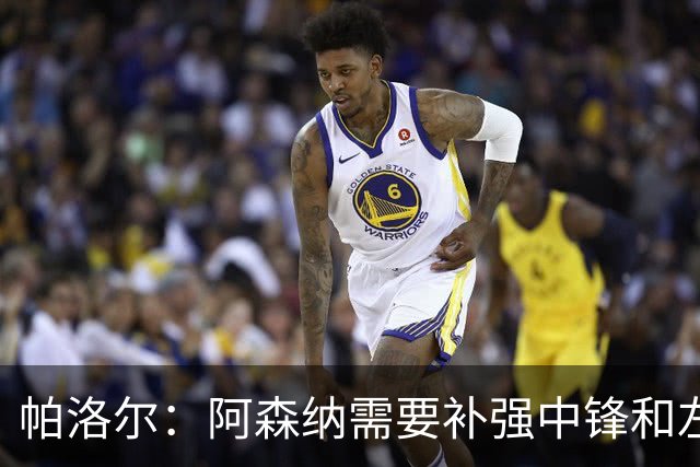 帕洛尔：阿森纳需要补强中锋和左路，希望能引进克瓦拉和小蜘蛛