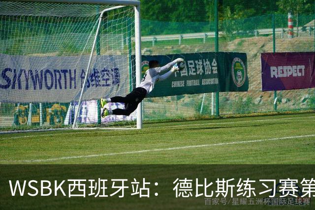 WSBK西班牙站：德比斯练习赛第八，排位赛第二，剑指第六冠
